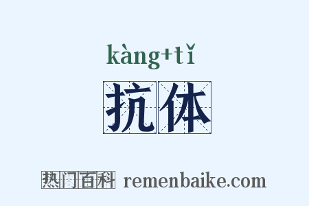 抗体是什么意思的图片